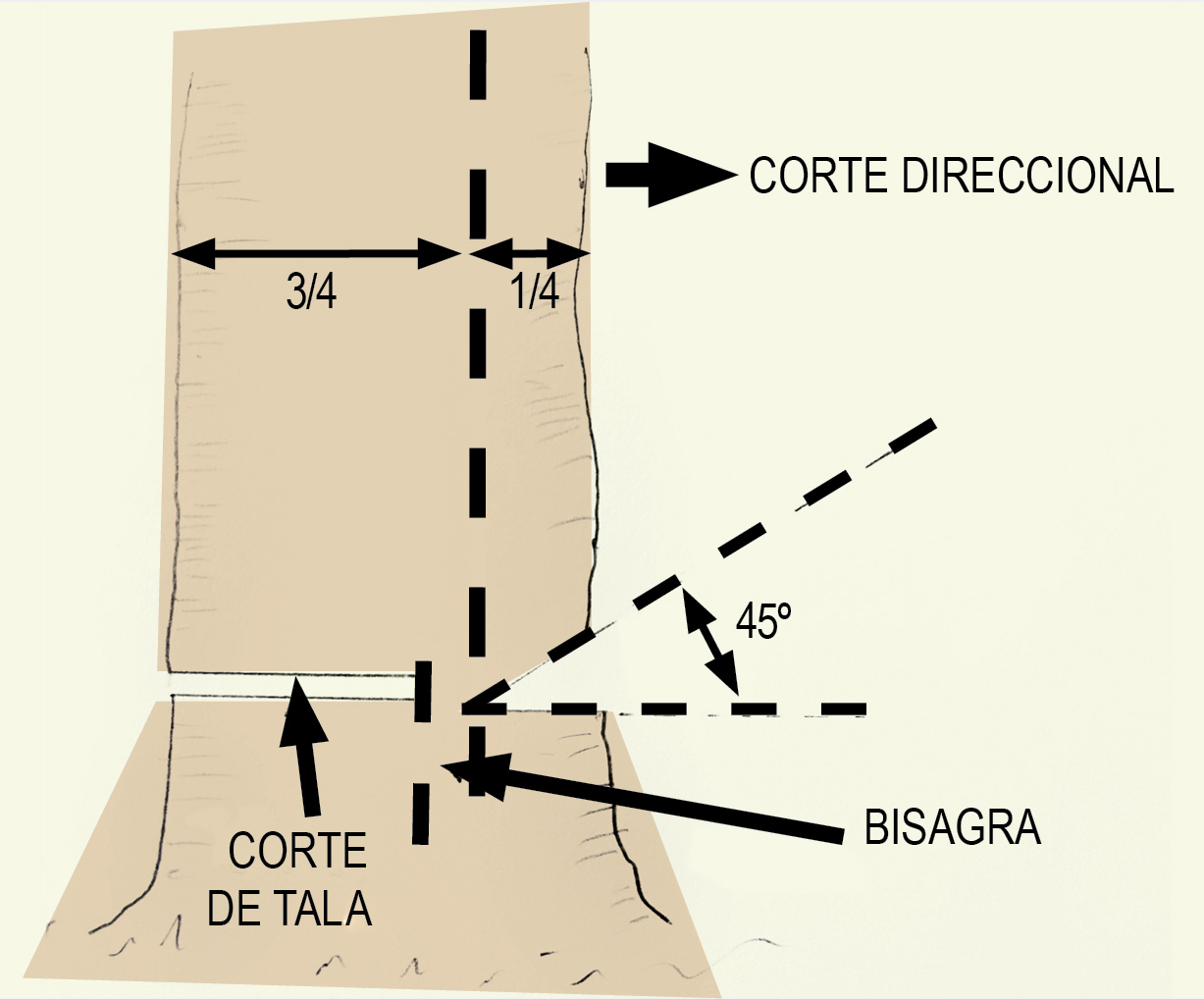 Ángulo y profundidad del corte