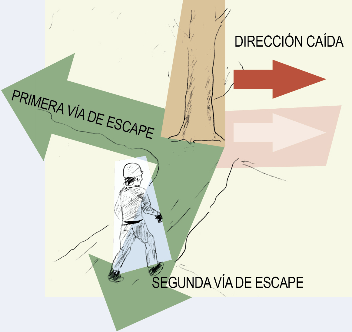 Vías de escape