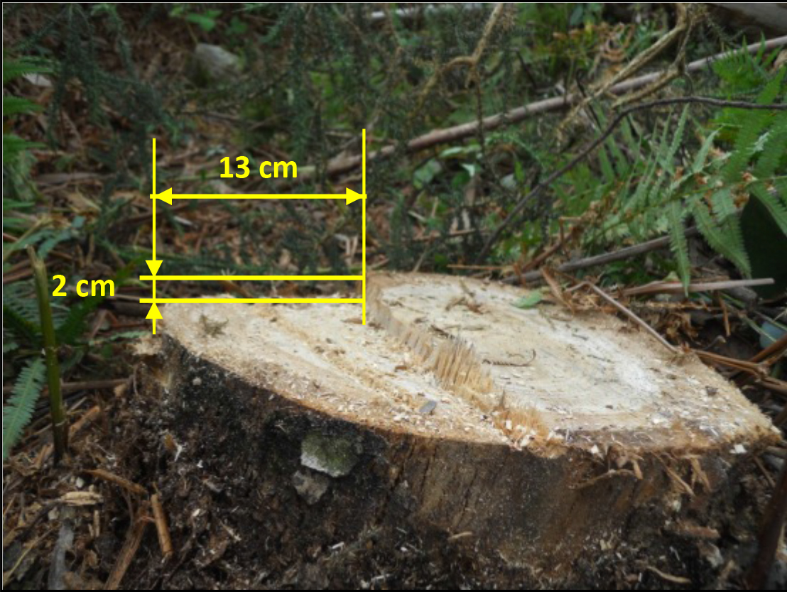 Cortes direccionales
