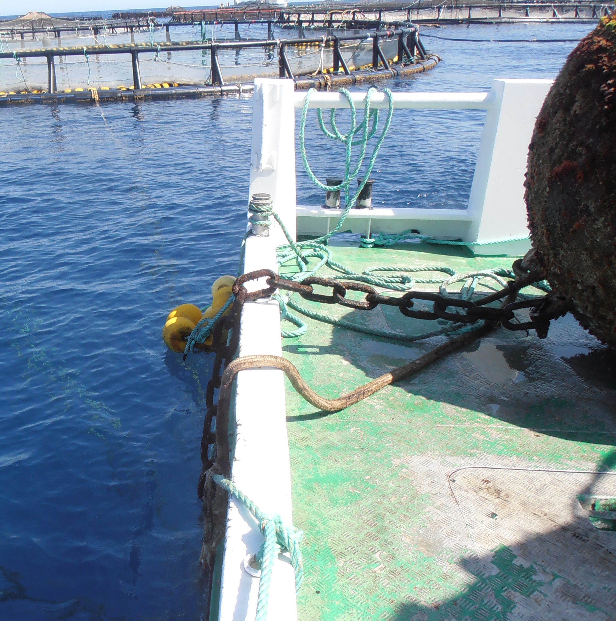 Imagen de una boya sobre la cubierta de la embarcación