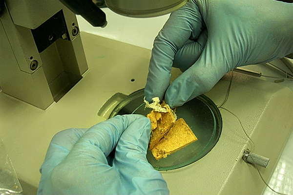 Preidentificación y selección de la muestra de material para su análisis