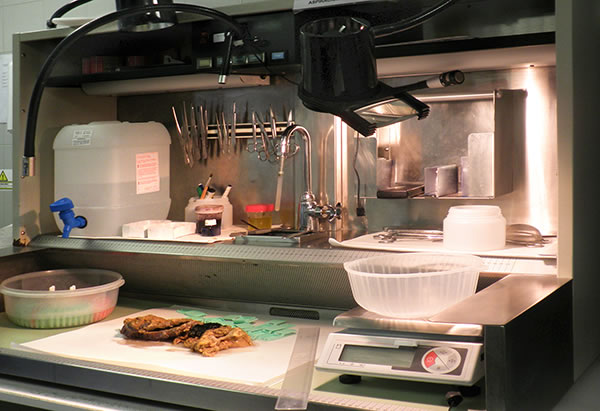 Mesa de tallado con pieza quirúrgica