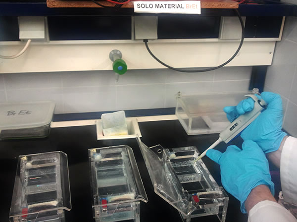 Celdas de electroforesis