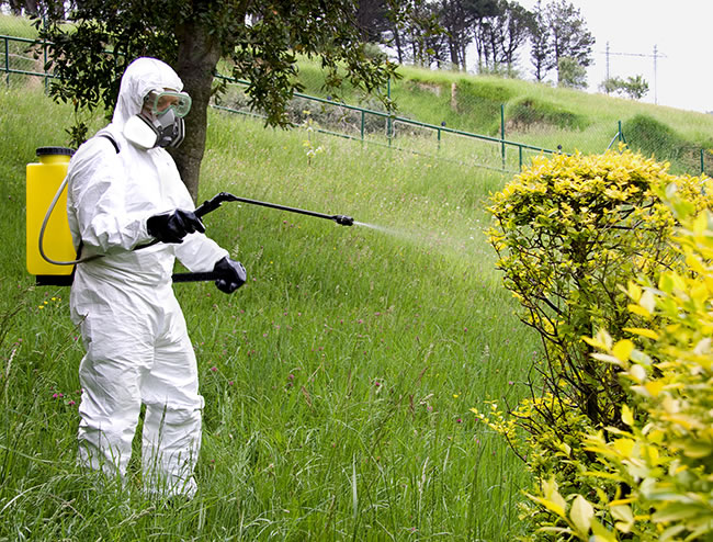Aplicación de fitosanitarios con mochila manual