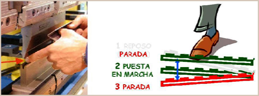 Gráfico posiciones pedal