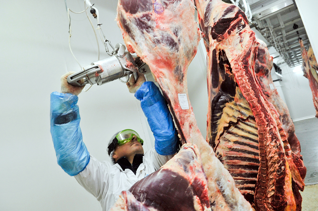 Figura 1. Corte en canal con sierra de cinta manual