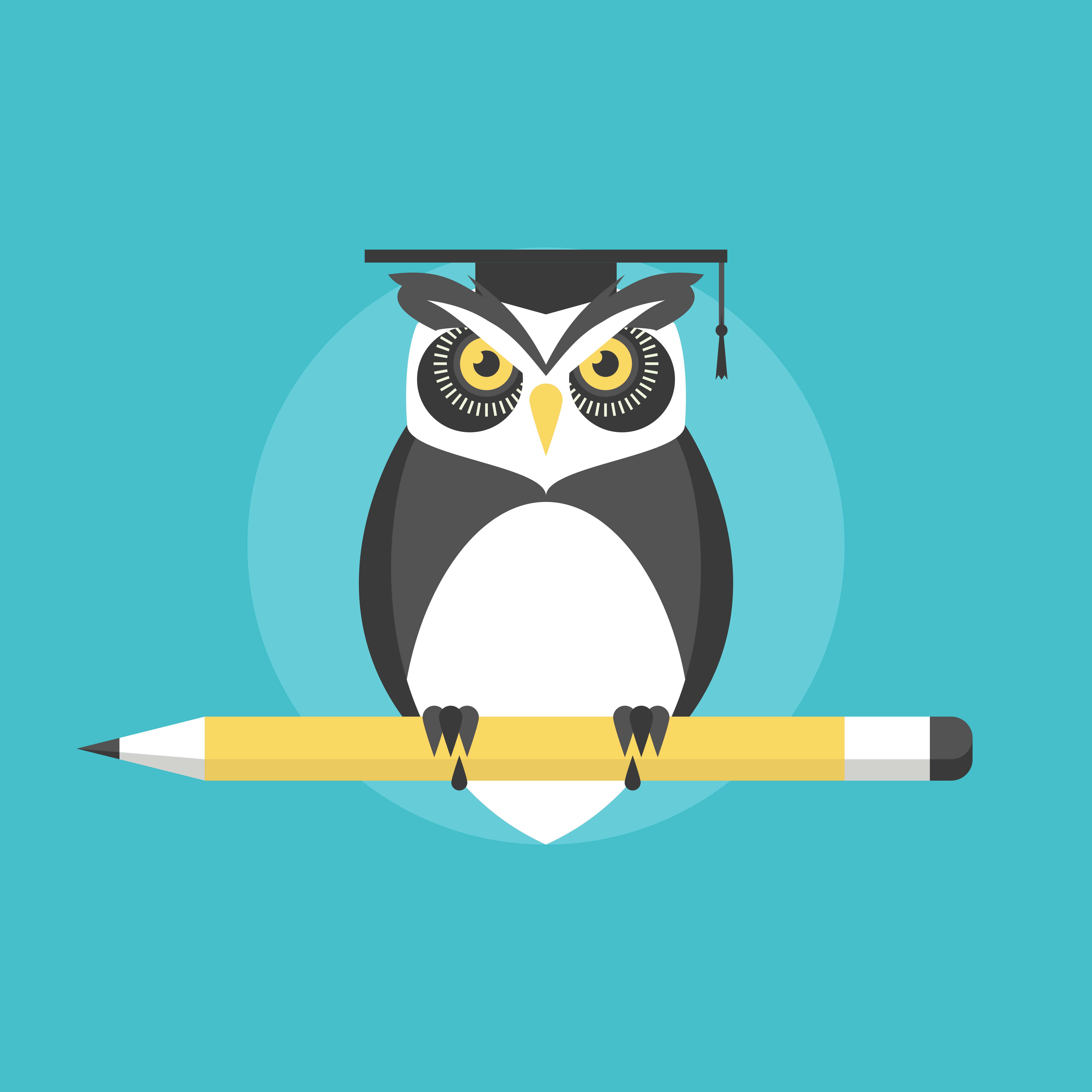 Imagen de un búho sobre un lápiz