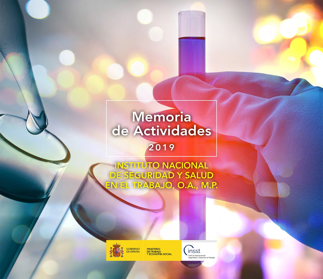 Memoria de actividades 2019