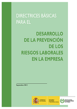 Directrices básicas para el desarrollo de la prevención de los riesgos laborales en la empresa - Año 2013