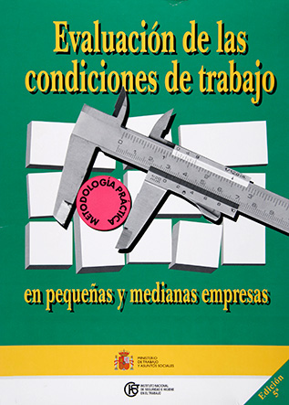 Evaluación de las condiciones de trabajo en pequeñas y medianas empresas - Año 2006