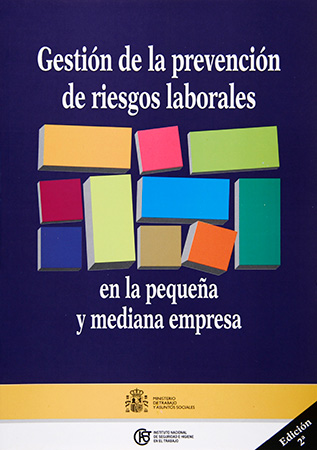 Gestión de la prevención de riesgos laborales en la pequeña y mediana empresa - Año 2008