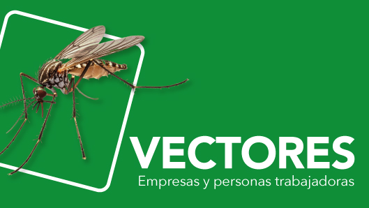 Imagen vectores